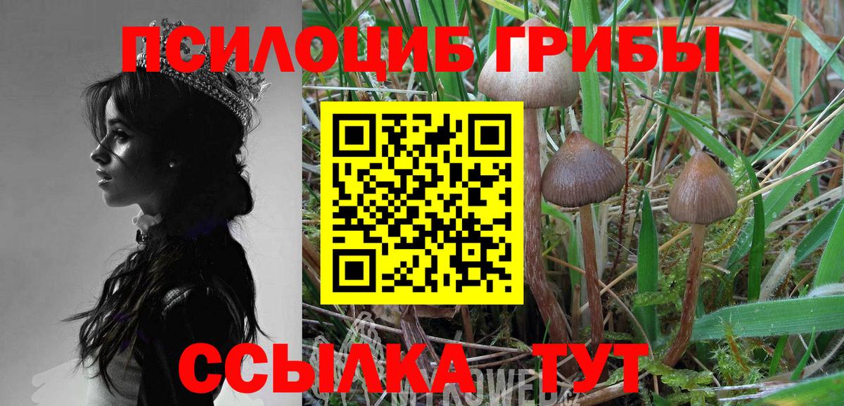 Псилоцибиновые грибы Cubensis Красный Сулин